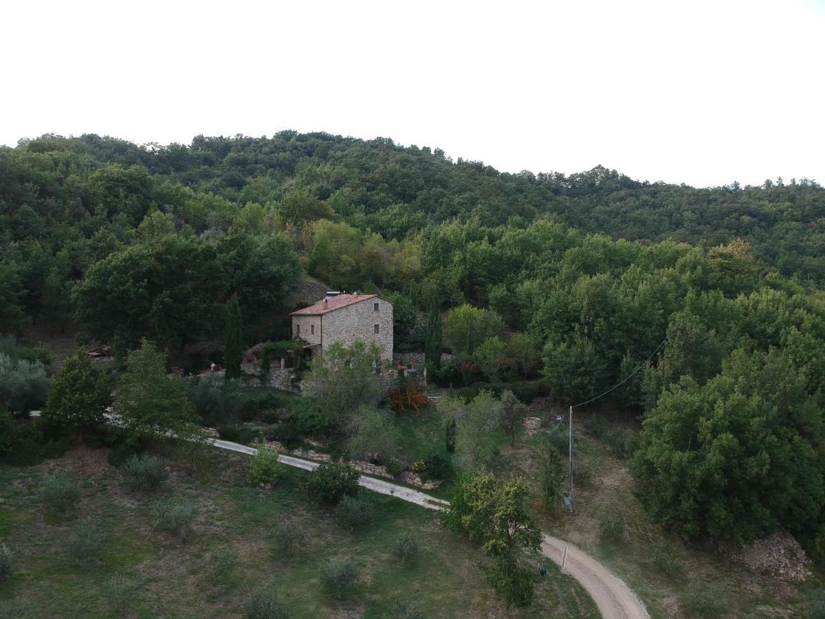 Podere Piandicava กาสเตลนูโอโว ดิ วัล ดิ เชชินา ภายนอก รูปภาพ
