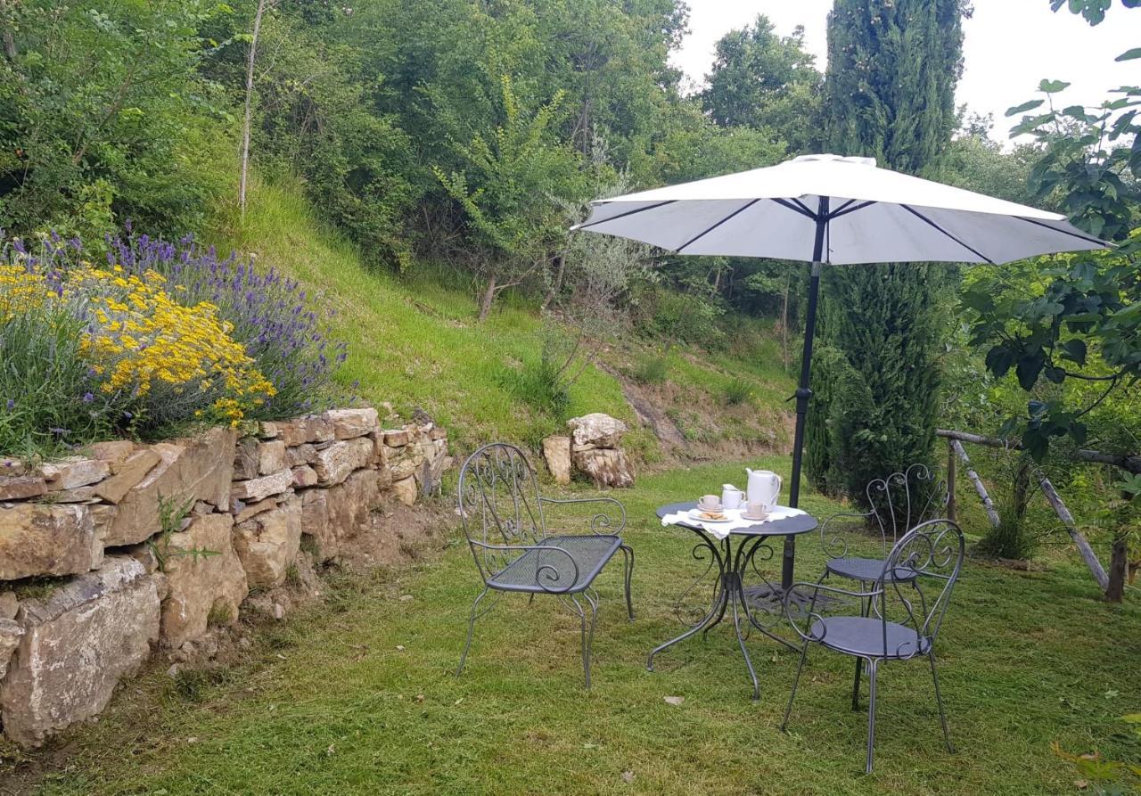 Podere Piandicava กาสเตลนูโอโว ดิ วัล ดิ เชชินา ภายนอก รูปภาพ