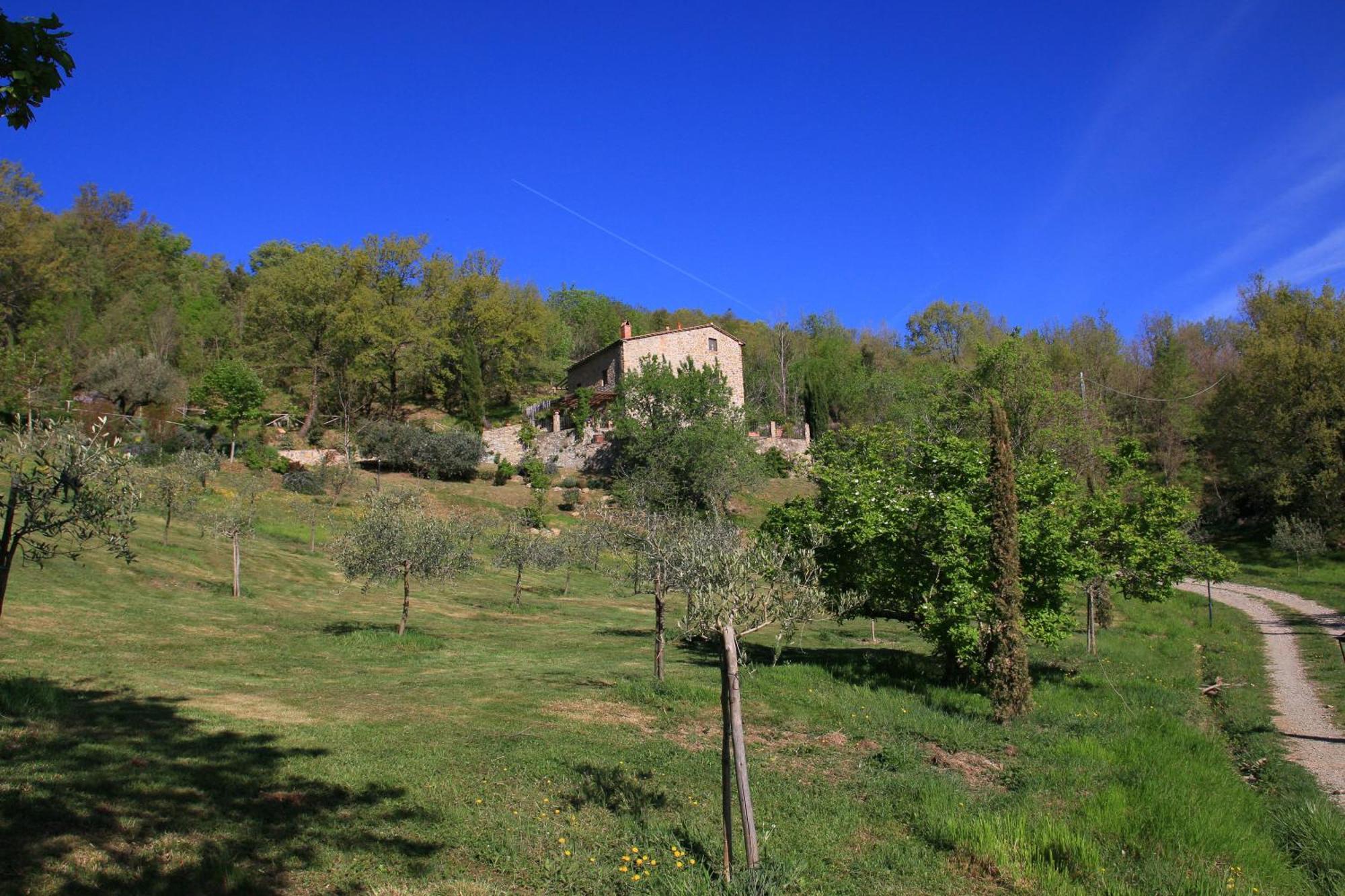 Podere Piandicava กาสเตลนูโอโว ดิ วัล ดิ เชชินา ภายนอก รูปภาพ